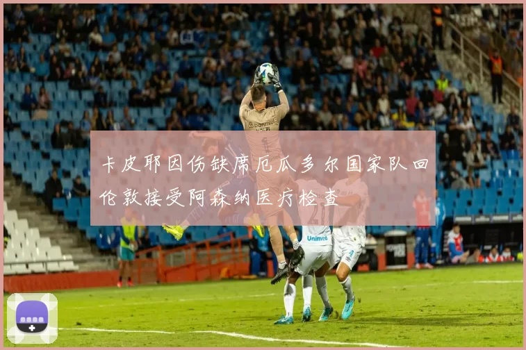 卡皮耶因伤缺席厄瓜多尔国家队回伦敦接受阿森纳医疗检查